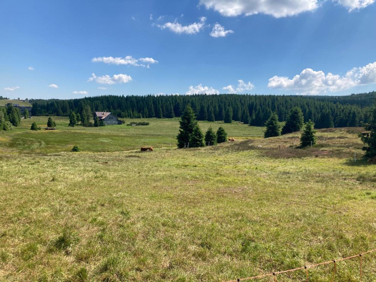 Bedřichov Apartmany V Lese מראה חיצוני תמונה